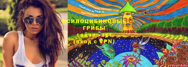 трава Гусиноозёрск