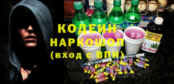 трава Гусиноозёрск