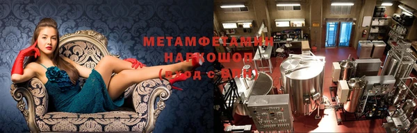 трава Гусиноозёрск
