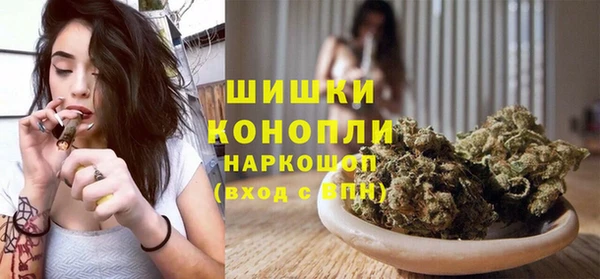 гидра Дмитровск