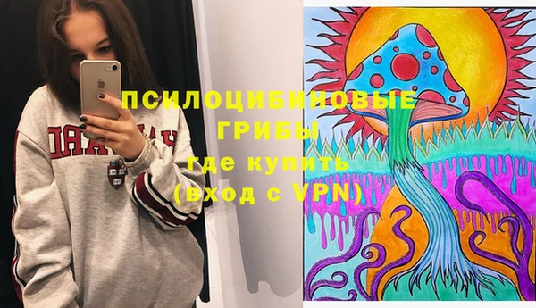 ECSTASY Гусев
