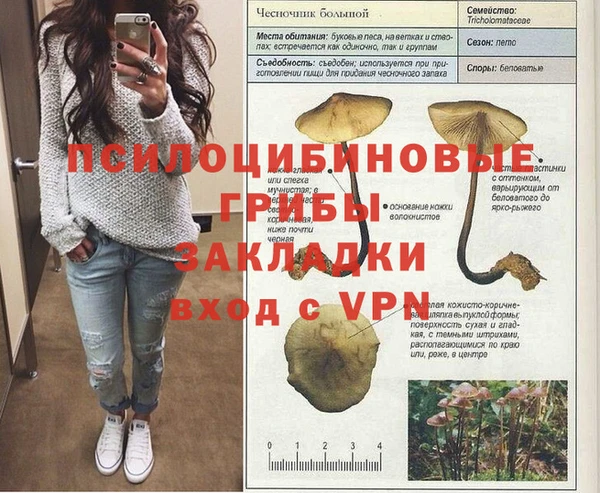 гидра Дмитровск