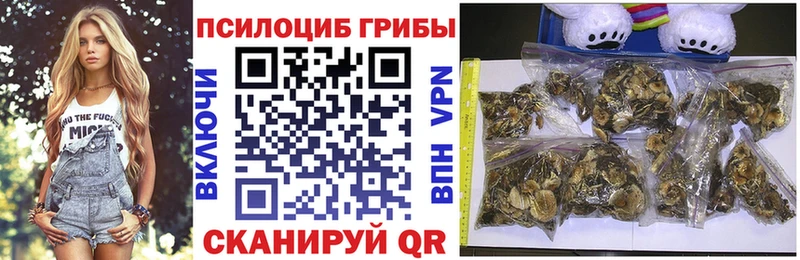 Псилоцибиновые грибы Psilocybe  мега ТОР  Миасс 
